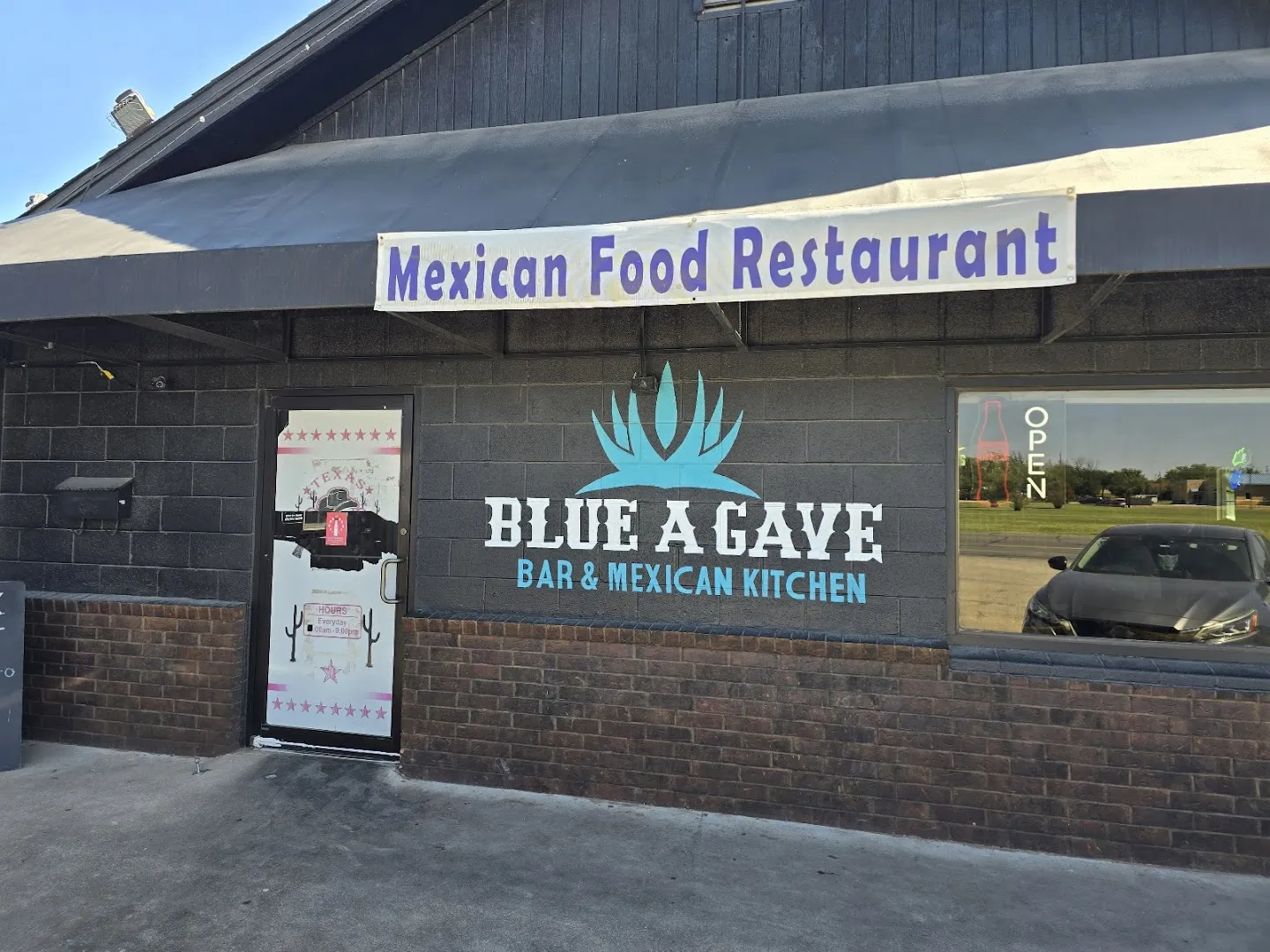 Blue Agave